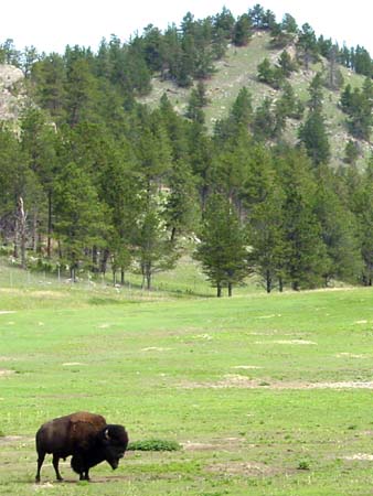 12_wcnp_20050607