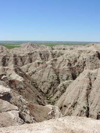 44_bnp_20050608