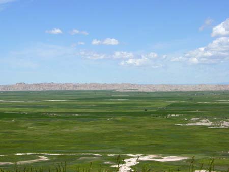 49_bnp_20050608