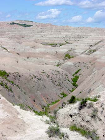 51_bnp_20050608