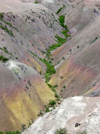 54_bnp_20050608