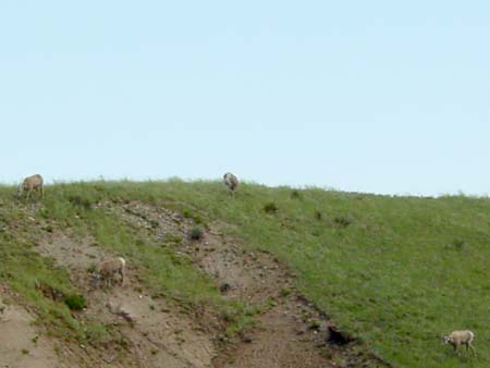 63_bnp_20050608