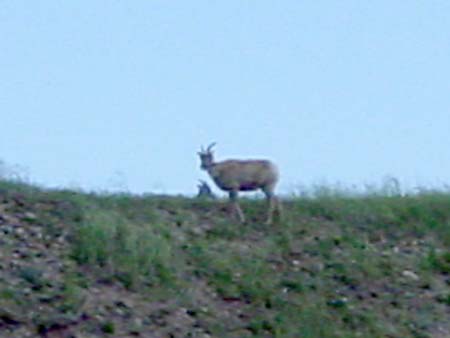64_bnp_20050608