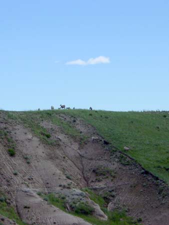 66_bnp_20050608
