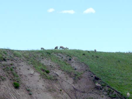 67_bnp_20050608