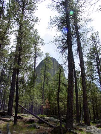 49_dtnm_20050609