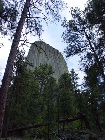 50_dtnm_20050609