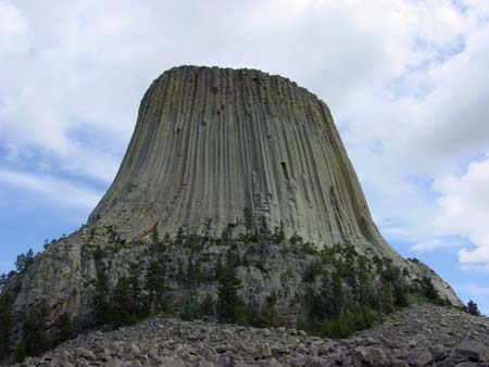 51_dtnm_20050609