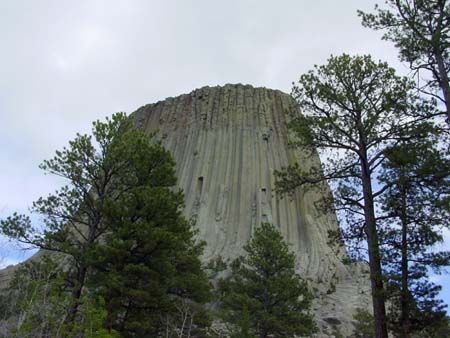 54_dtnm_20050609