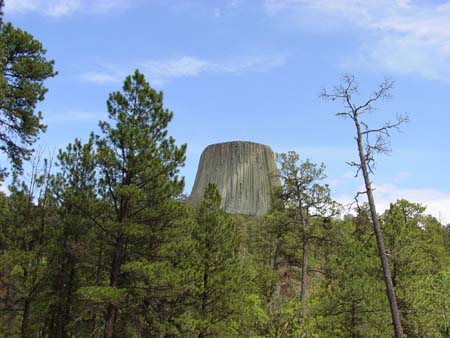 55_dtnm_20050609