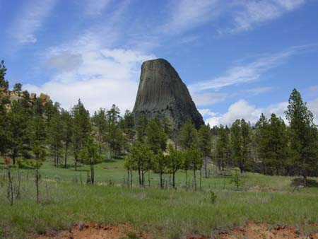 56_dtnm_20050609