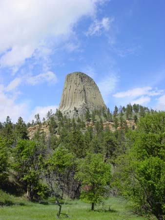 59_dtnm_20050609